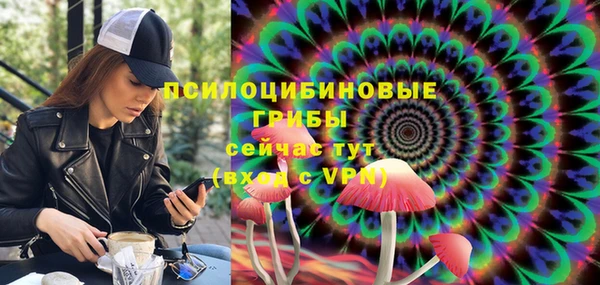 PSILOCYBIN Видное