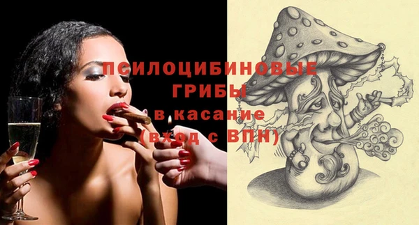 PSILOCYBIN Видное