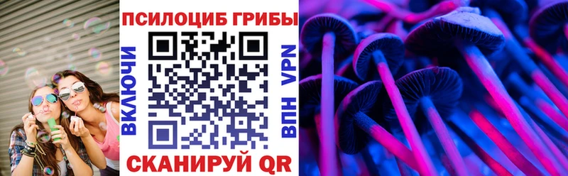 Псилоцибиновые грибы Magic Shrooms  кракен онион  Карачев 